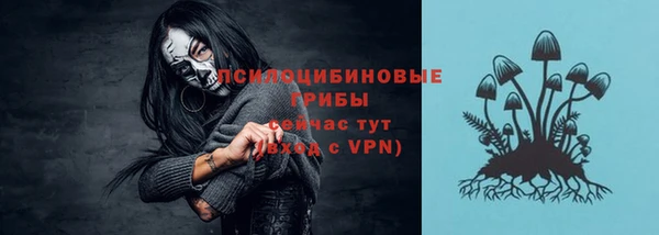 экстази Липки