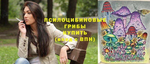 МДПВ Магас