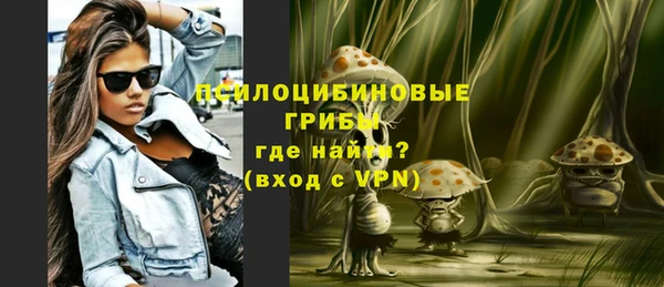 МДПВ Магас