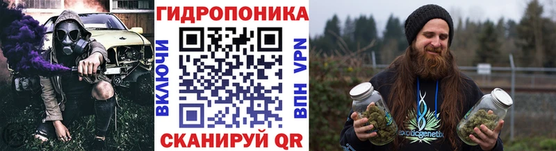 Каннабис сатива  Купить закладки  Заводоуковск 